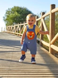 Jojo Maman Bebe JoJo Maman Bébé Indigo 2-Piece Lion Appliqué Short Dungarees & Top Set -Jojo Maman Bebe 571654s5