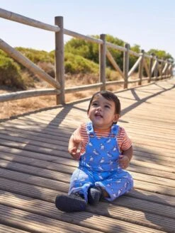 Jojo Maman Bebe JoJo Maman Bébé Cornflower 2-Piece Puffin Print Dungarees & Top Set