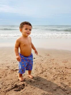 Jojo Maman Bebe JoJo Maman Bébé Crab Swim Shorts With Nappy